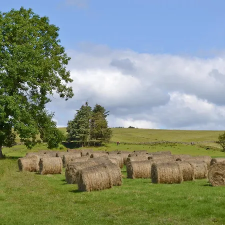 Demesne Farm *